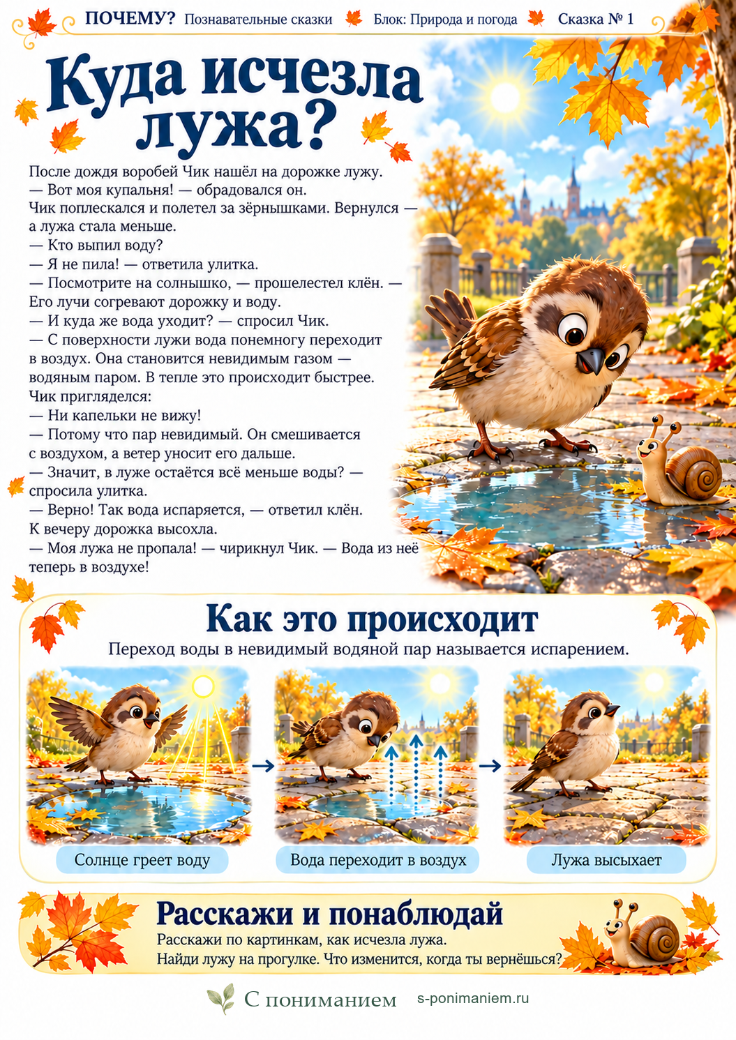 Куда исчезла лужа?